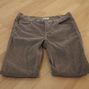 Free People ✨ Corduroy pants in taupe size 26